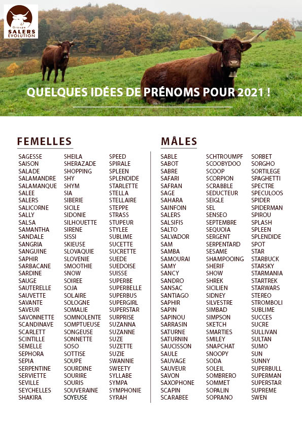 Liste de noms pour baptiser vos animaux Groupe Salers Evolution